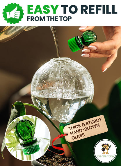 16 Oz Plant Watering Globes for Indoor Plants with Terracotta Self Watering Planter Insert - Hand-Blown XL Glass Globes - Automatic Indoor Planter Waterer, Gift Idea for Gardeners [1, Clear]