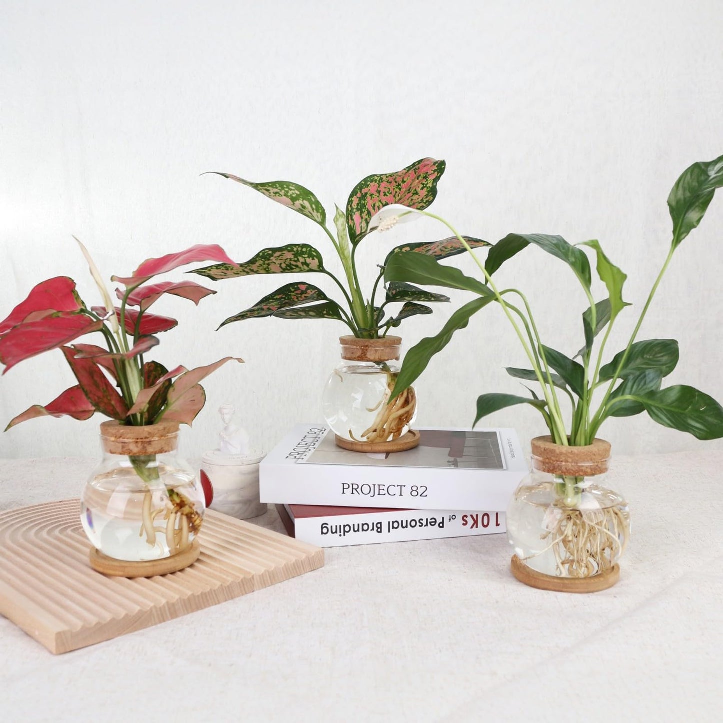CHPINDAM Plant Propagation Station,Hydroponic Glass Container Vase Jars, with Wooden Saucer for Desks, Houses, Garden Decorations, Home Kitchen Decorations and Gifts for Plant Lovers (4)