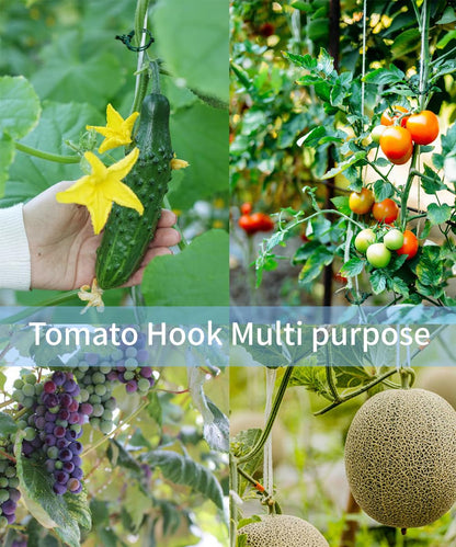 30Pcs Tomato Hooks with String,Plant Support Clips, with 33 Feet Garden Twine - Heavy Duty Plant Trellis for Tomatoes, Cucumbers, Peppers, Vines ，Reusable