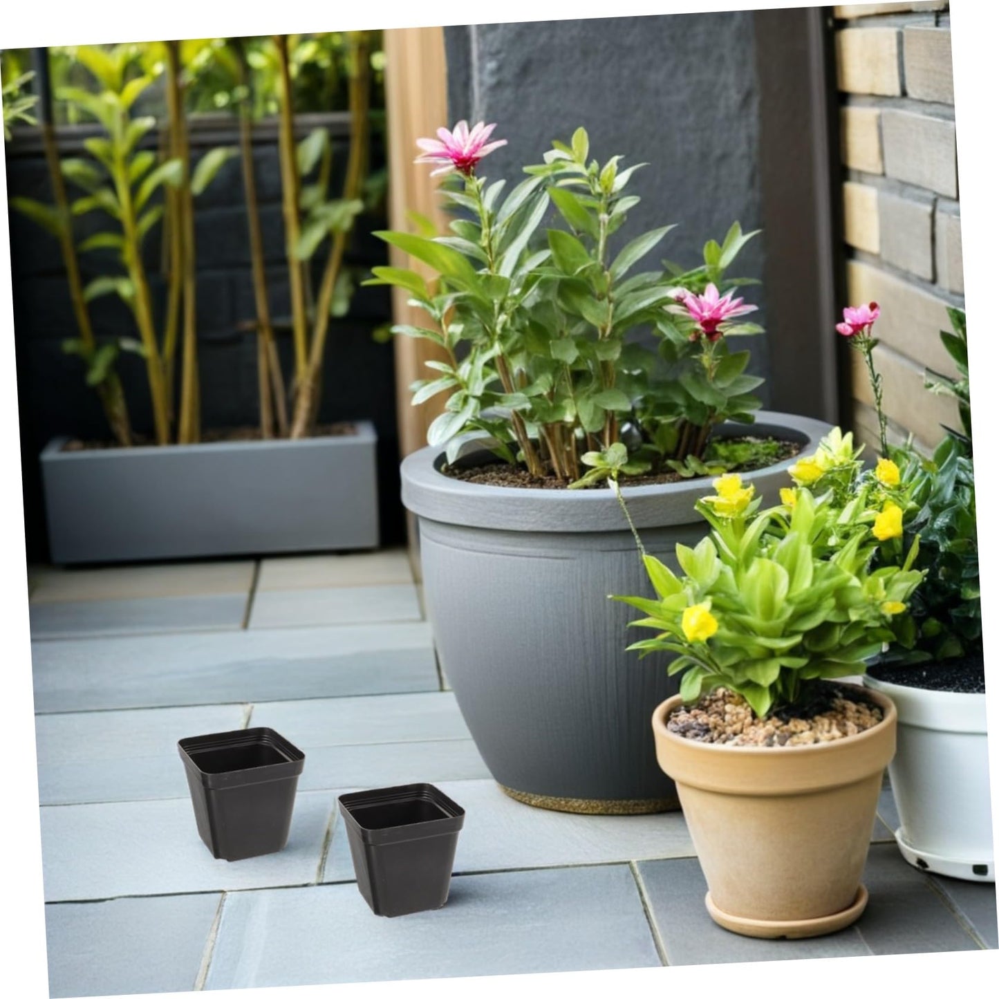 FOMIYES Nursery Pots and Independent Growth Chambers 100pcs Plastic Square Black with Drainage Holes for Vegetables and Flowers, for Balcony Gardens and Garden Planting