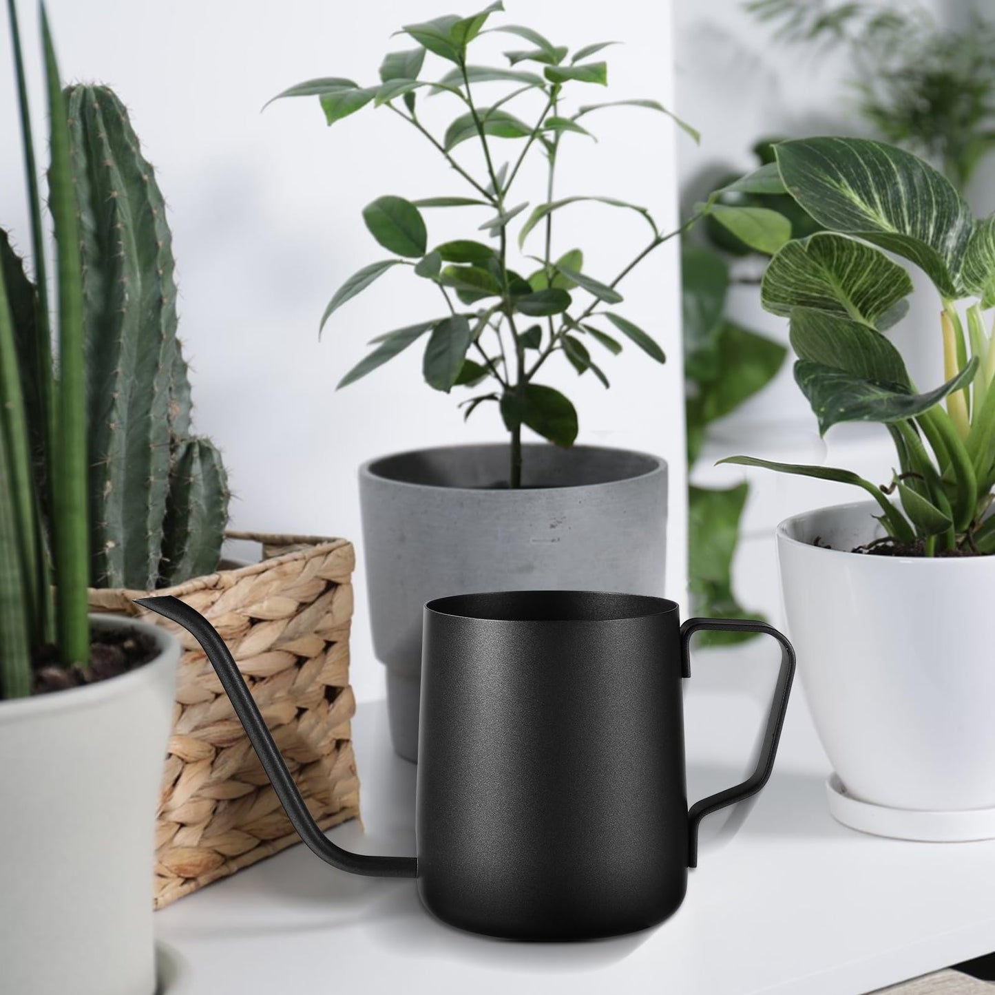 Plant Watering Can, 12 oz / 350 ml Stainless Steel Plant Watering Pot Small Watering Can with Long Spout for Indoor House Plants Flower Bonsai Outdoor Garden