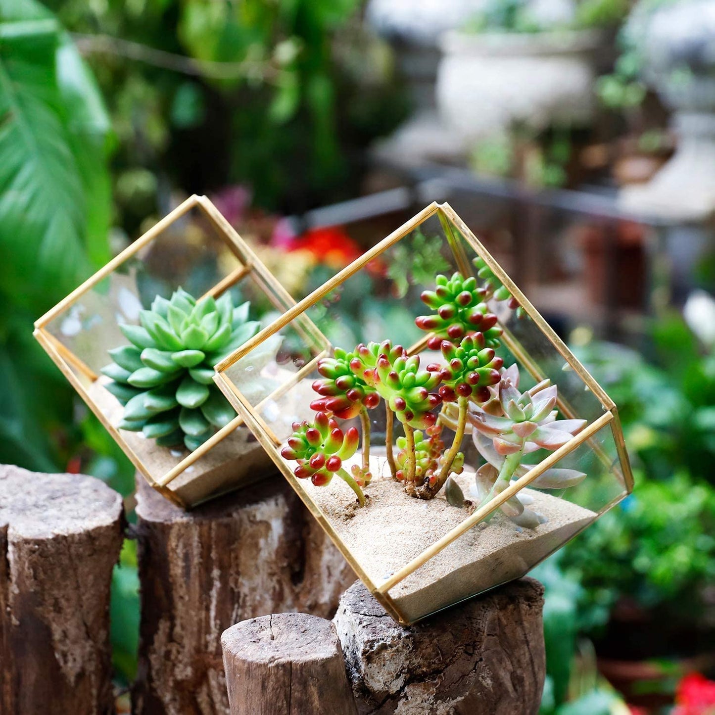 ELEGANTLIFE Glass Geometric Plant Terrarium,Succulent & Air Planter for Home Garden Office Decoration(Gold Cubic Set of 2)