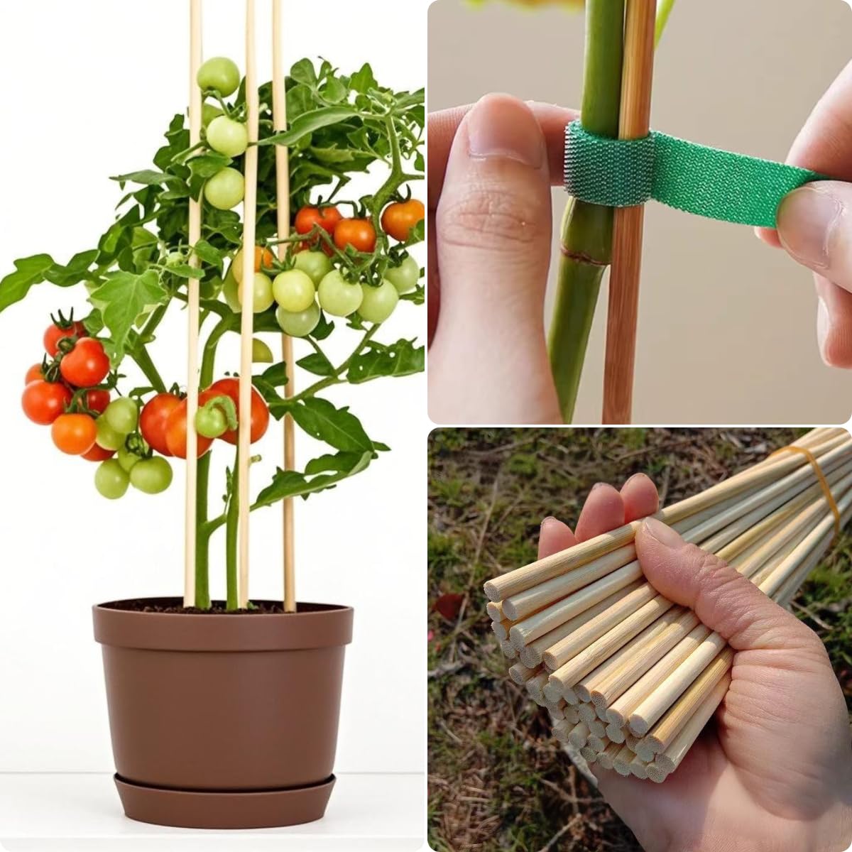 VESYMAN 100 PCS 3FT Bamboo Plant Stakes, 6.3mm Thick – 36 Inch Bamboo Sticks for Indoor & Outdoor Plants – Garden Plant Support Stakes for Tomato, Beans, Climbing Plants & More