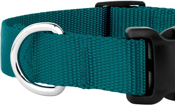 Country Brook Petz - Everyday Nylon Dog Collar and Leash - 10+ Cool Colors (3/8 Inch, Extra Small, Teal)