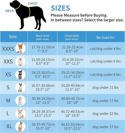 AIITLE Step in Dog Harness and Leash Set - No Pull Escape Proof Vest Harnesses with Soft Mesh and Reflective Bands, Adjustable Pet Outdoor Harnesses for Small and Medium Dogs Pink M