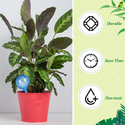 Pinkunn 36 Pcs Plant Watering Globes Plastic Self Watering Bulbs Automatic Plant Watering Devices Self Watering Planter Insert Small Plant Waterer for Garden Indoor and Outdoor Plants Flowers (Blue)