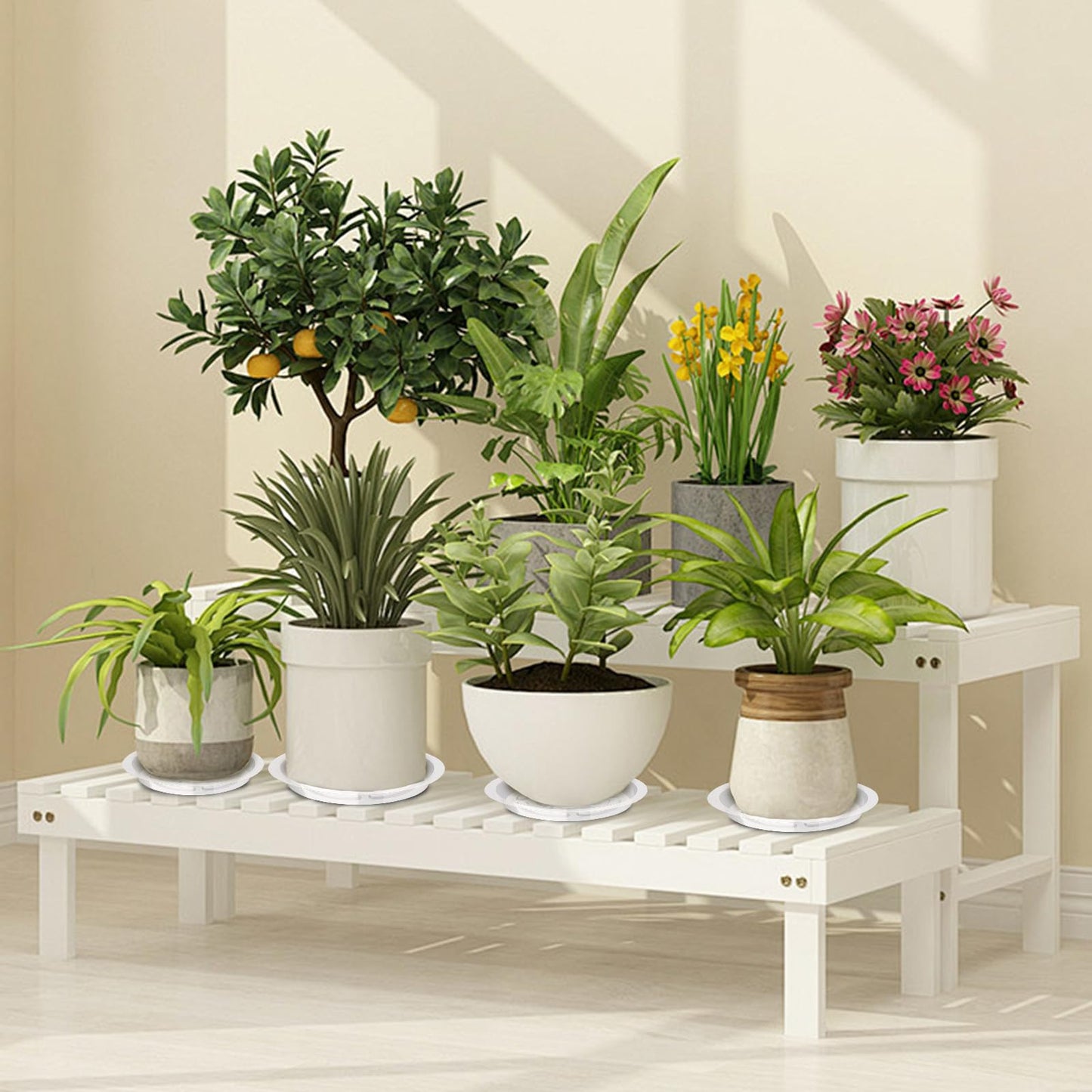 Hyuetrsa 36 PCS Plastic Plant Trays，6/8/10/12 Inch Plant Saucers Clear Plastic,Plastic Plant Saucer Durable Plant Trays for Plant pots Indoors and Outdoors（Round，Clear）