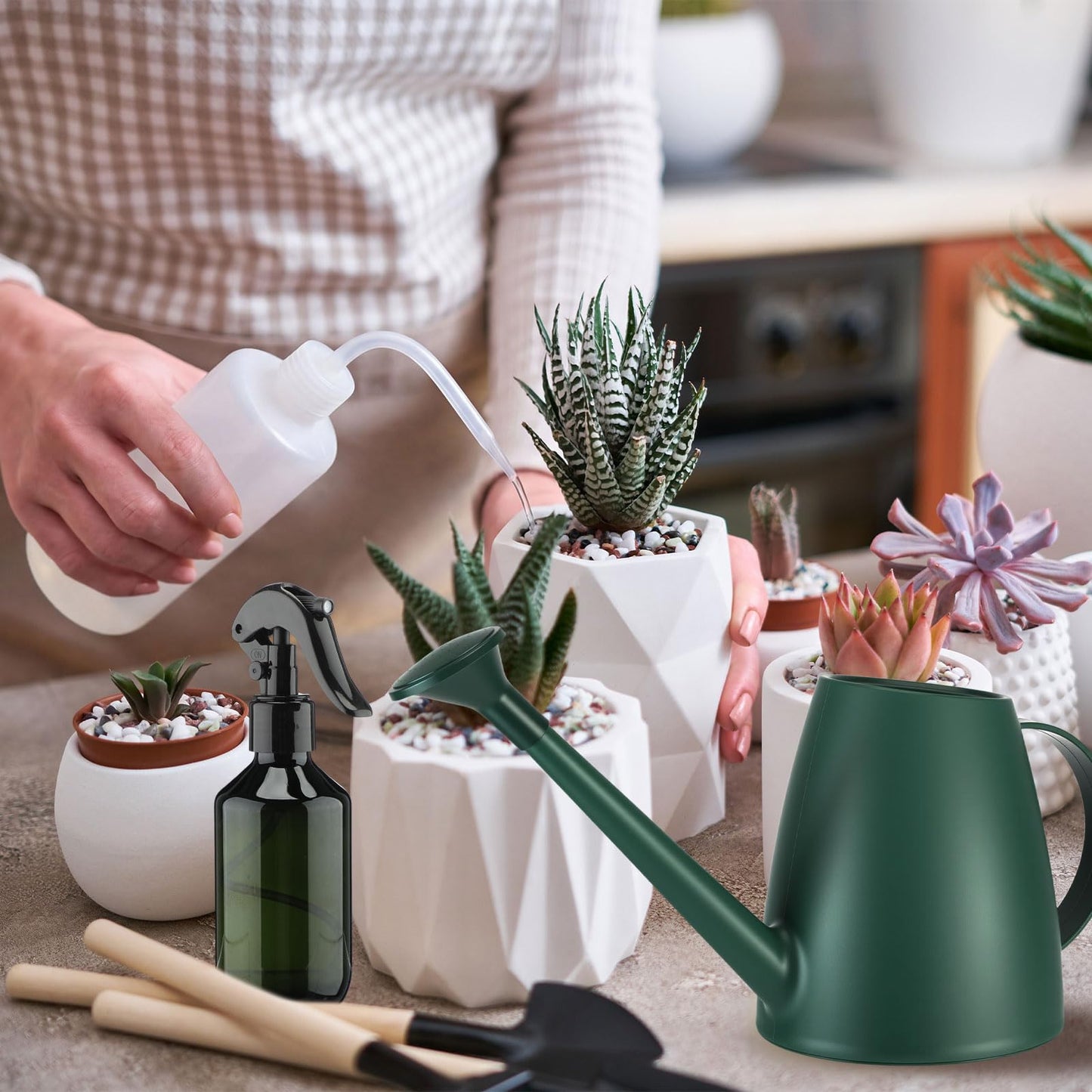 Reallnaive 6 Pcs Indoor Watering Can Set 1/2 Gallon Can 6.8 oz Spray Bottle 17 oz Squeeze Bottle Plant Watering Globes Soil Moisture Meter Small Spraying Set for Indoor Outdoor Plants (Dark Green)
