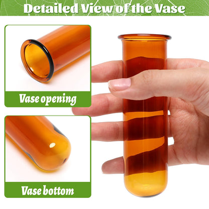 Glass Plant Propagation Station with 5 Test Tubes Colorful Planter Vase Birthday Gifts for Women in Wooden Stand
