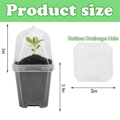 EBaokuup 30PCS Clear Plant Nursery Pots with Humidity Dome - 3" Durable Plastic Gardening Pot, Small Plant Container for Seedlings/Vegetables/Succulents/Cuttings