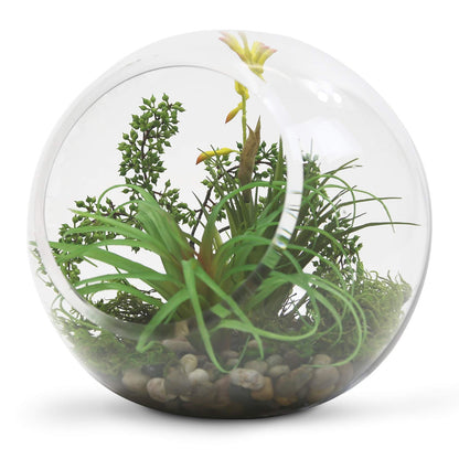 WGV Slant Cut Bowl Glass Vase, Width 9", Height 9", Clear Round Globe Planter Terrarium Orb, Candy Dish, Fruit Jar, Floral Container for Home Office Decor, 1 Piece