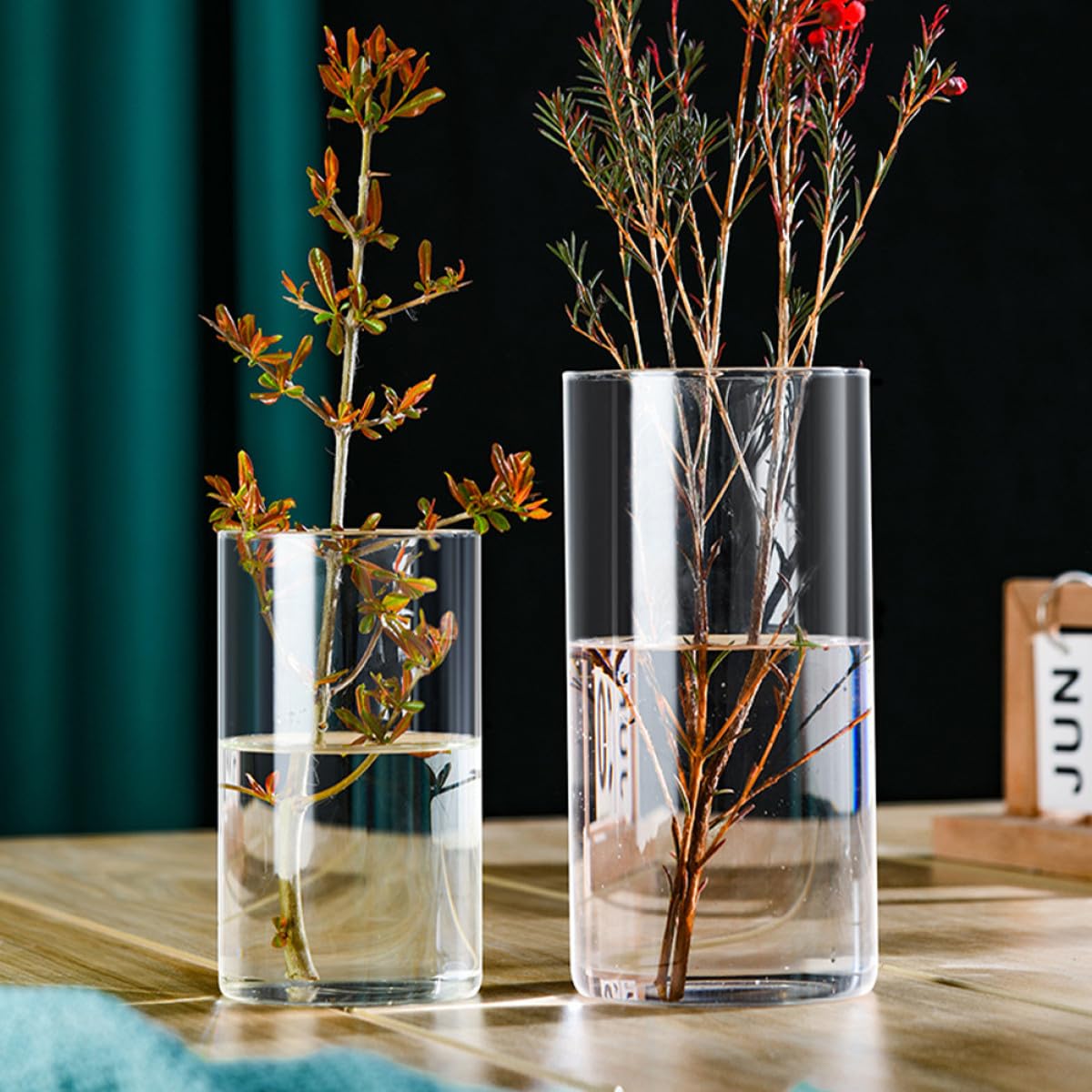 VALICLUD Glass Cylinder Vase 10x25cm High Borosilicate Hydroponic Flower Vase Decorative Glass Terrarium for Indoor Plants and Flower Arrangements
