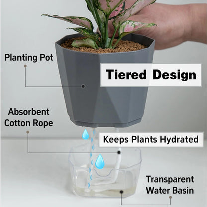 BovcTrraann 4 Packs Self Watering Plant Pots, Plastic Flower Pots with Drainage Hole and Saucer, Self Watering Planters for Indoor Outdoor Garden Plants, African Violet, Herbs (White, 5")