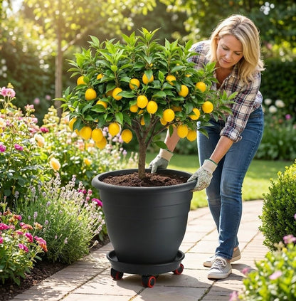 RooTrimmer 15 Inch Plant Caddy with Wheels,Heavy Duty Rolling Planter Dolly,Drainage Holes & Drip Tray,Movable Plant Stand for Heavy Pots Indoor Outdoor