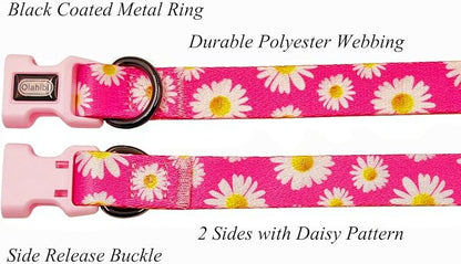 Dog Collar and Leash Set, Cute Pink Daisy Pattern, Polyester Material, 5ft Leash, for Puppy Dogs.(XS, Daisy Set)