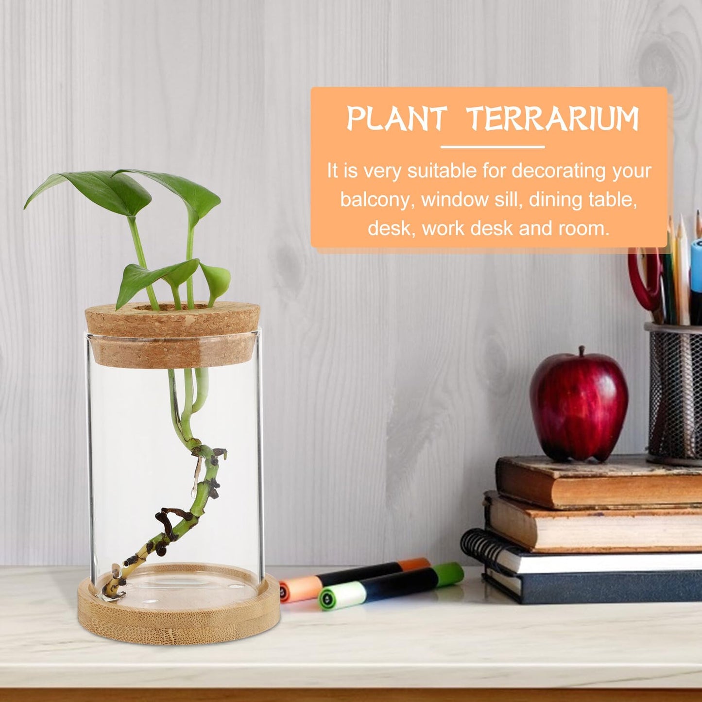 LOORGVEL 2pcs Hydroponics Plant Terrarium Glass Vases with Stand 6.5x10cm Desktop Water Planting Container for Office Home Decoration