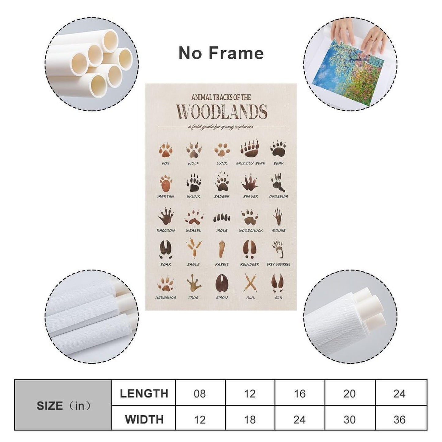 MAIHAIBAO Woodland Animal Tracks Canvas Wall Art - Educational Forest Field Guide Poster - Rustic Nature Nursery & Kids Room Decor - 12x18 Inch (Unframed)