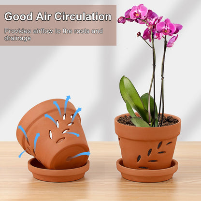 JUXYES 6 Pack Small Terracotta Orchid Pots with Holes and Saucers, Clay Orchid Planter Pots for Repotting, Plant Flower Pots for Orchid Indoor and Outdoor Promotes Air Circulation, 4 Inches