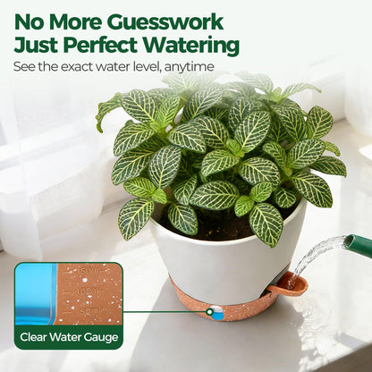 T4U 4 Pack 6 Inch Self Watering Pots - Water Level Indicator & Deep Reservoir, Mess-Free Planter for Busy People, Beginners & Gardeners, Fit Herbs/Pothos/Succulents Plants, Indoor Outdoor Use (White)