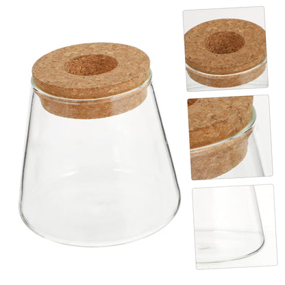 Zerodeko 2Pcs Hydroponic Plant Glass Vases Desktop Terrarium Clear Propagation Containers for Indoor Plants Home Decoration Garden Lovers