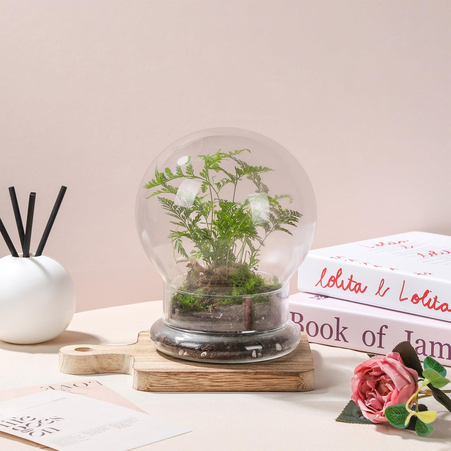 WHJY Round Glass Cloche for Indoor Plants Small Terrarium Glass Cloche with Base Mini Cloche Dome with Base for Display Home Decor