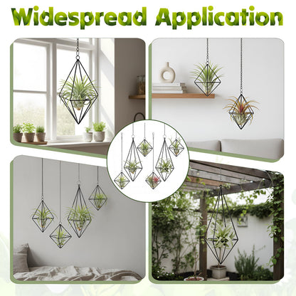 Yuanan 6 PCS Air Plant Hanger, Air Plant Holder Geometric Metal Airplant Holder Hanging Tillandsia with Chains, Home Decor, Balcony Planting and DIY Art for Small Indoor Plants-2 Size