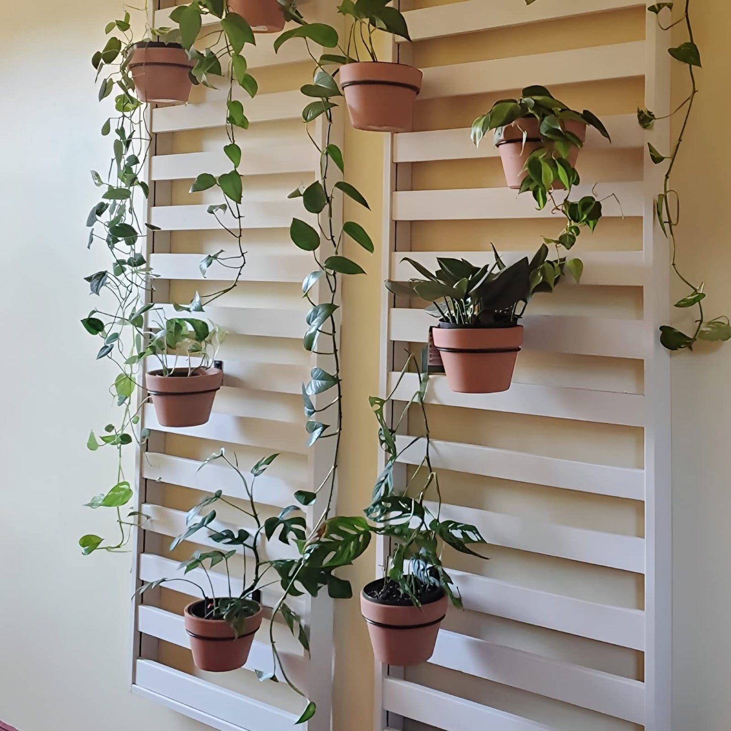 Plant Holder Ring 8 Inch Wall Mounted, 6 Pack Flower Pot Hangers Metal Plant Stand Hanging Bracket Basket Hooks