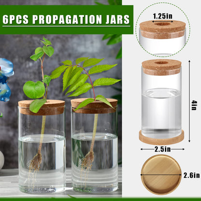 Rtteri 6 Pcs Glass Propagation Stations for Plants, Desktop Flower Vases, Plant Terrarium Desktop Glass Planters with Lid and Wooden Saucer for Home Decoration(2.56 x 4)