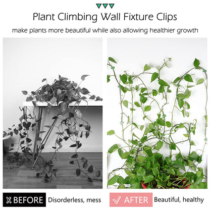 LUCKJUJU 100 Pcs Plant Climbing Wall Fixture Clips Self-Adhesive Hook Vines Traction Clips Invisible Holder Garden Green Leaf Simulation Self-Adhesive Hook Wire Fixing Supporting