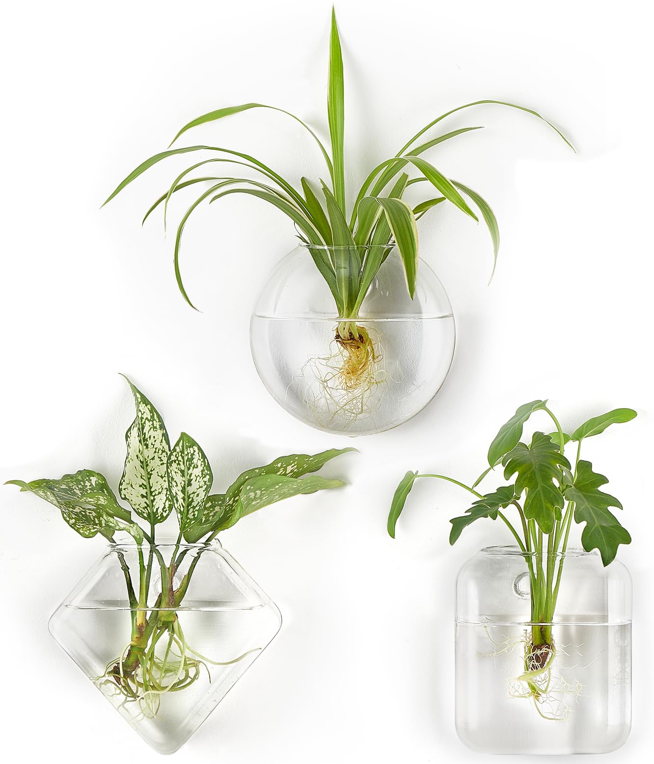 Mkono Wall Planter Propagation Stations Hanging Glass Terrariums Vase Container for Propagating Hydroponic Plants Flowers Home Office Living Room Bathroom Garden Decor, 3 Pack(Plants not Included)