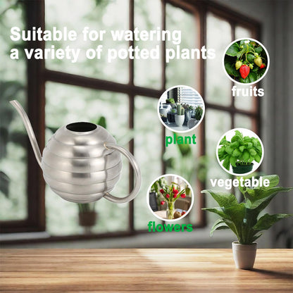 Lianshi Plant Watering Bottle, 400ml/14oz, Retro Style Watering Can, Matte, Frosted (Silver)