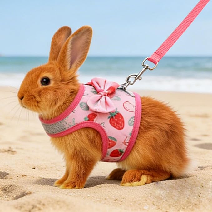 Small Pet Harness and Leash, Escape Proof Rabbit Vest with Soft Edges Dual Safety Buckles for Bunny Guinea Pig Ferret Chinchilla (S)