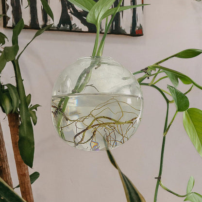 BEBEMOKO Hydroponic Glass Vase Wall Hanging Planter 15cm Terrarium Bottle for Indoor Plant Propagation and Home Décor with Non-Marking Hook