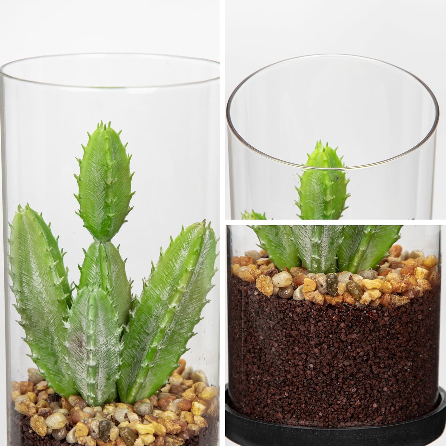 GnFlus Artificial Succulent in Cylindrical Glass Vase Small Fake Cactus Plant with Modern Glass Terrarium Faux Plants Indoor Gift for Plant Lover Decor for Home Office Table Desk Shelf