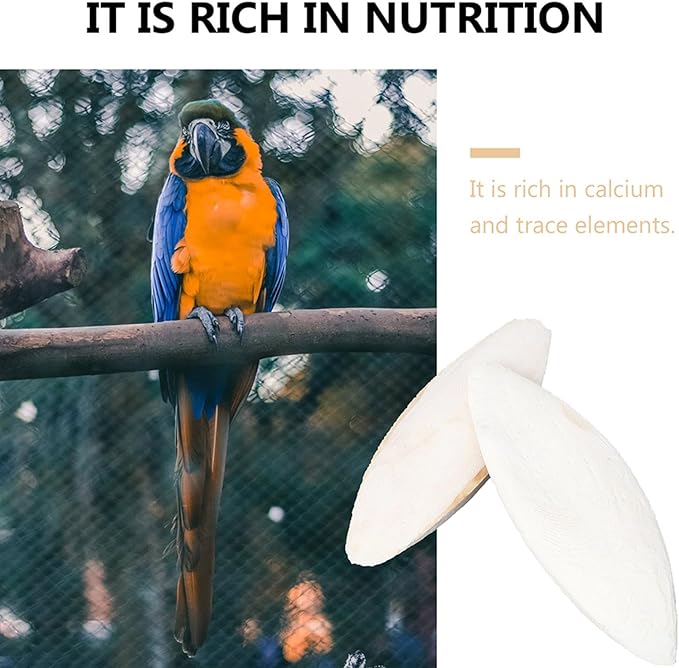20 Pack Bird Cuttlebone Chew Toy, Natural Cuttlebone for Birds Parakeets Reptile Tortoises Snails, Cuttlefish Bone for Birds, Bird Calcium Stone for Parrots Cockatiels Budgie Macaw