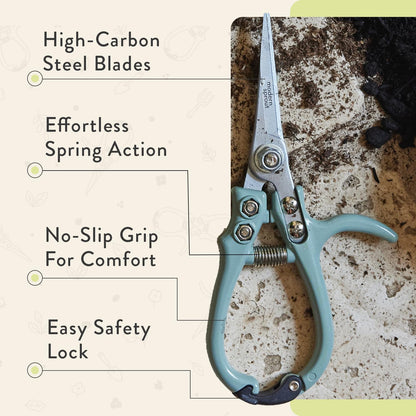 Modern Sprout Pruning Shears - Herb Snipping Scissors- Lightweight Gardening Tools W/Easy Lock - Flower Cutter Garden Shears - Carbon Steel Blade + Reusable Holster (Chartreuse, 1-Pack)