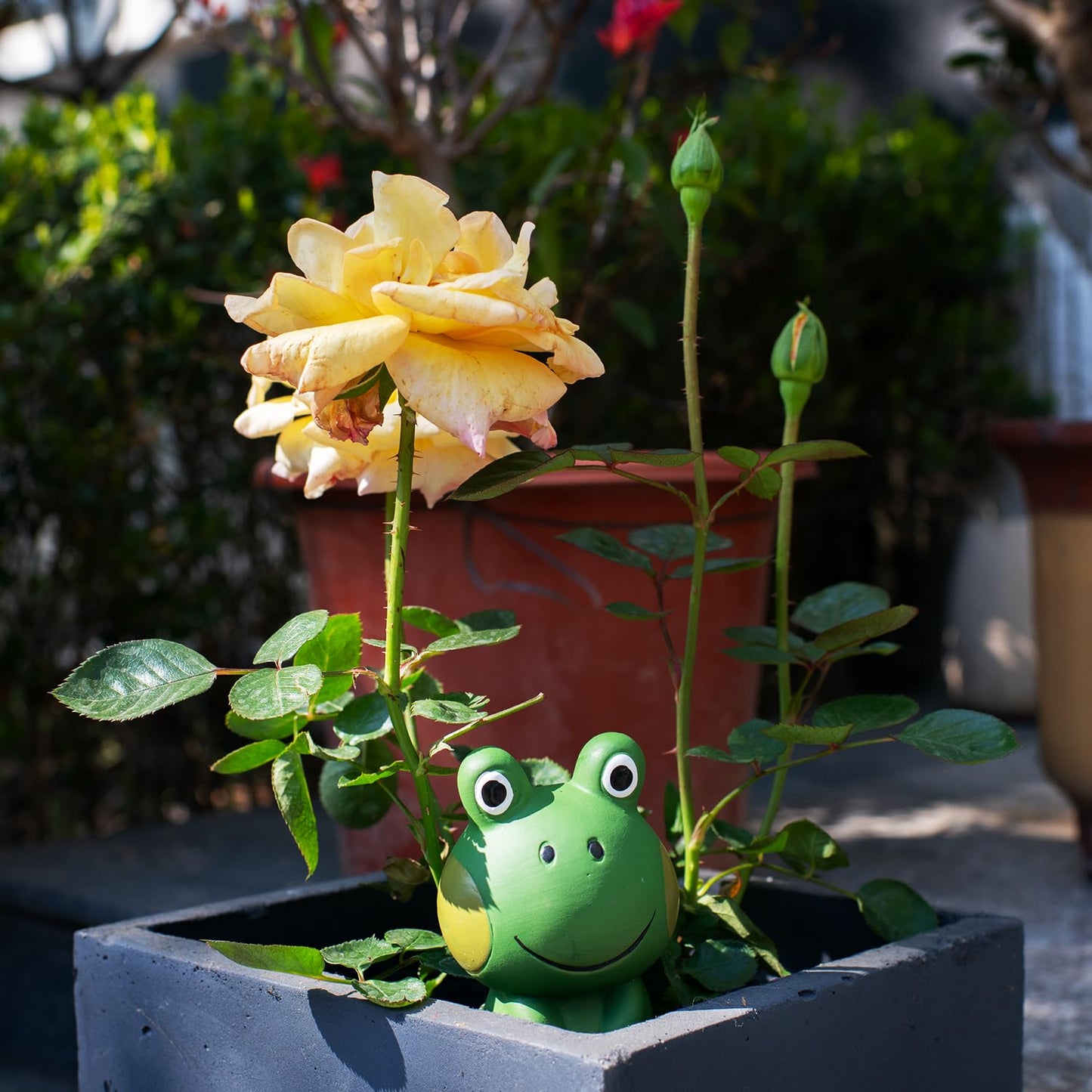 HORTICAN Frog Shaped Self-Watering Spikes - Effortless Plant Care for Your Garden, Cute and Playful Design for Indoor and Outdoor Plants, Vacation-Proof Plant Watering Solution