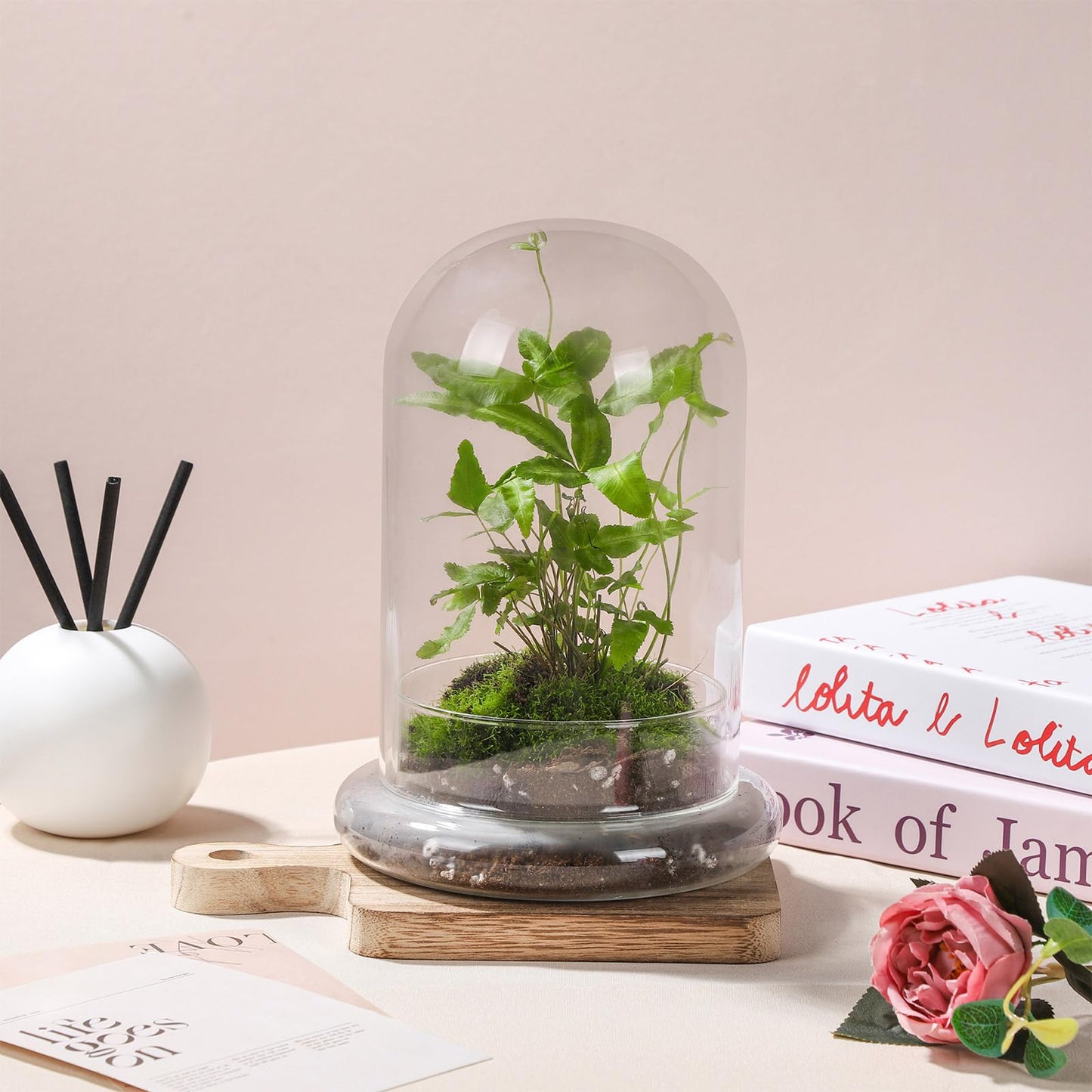 WHJY 8 inches Glass Cloche for Indoor Plants Small Terrarium Glass Cloche with Base Mini Cloche Dome with Base for Display Home Decor