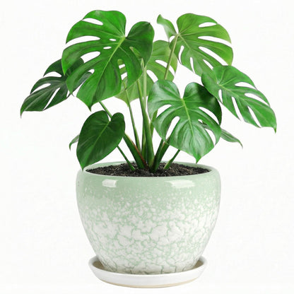 TOSELBAI 10.2 Inch Ceramic Planter with Saucer Leak-Proof Mesh &Drainage, Round Plant Pot with Gardening Gloves for Indoor Outdoor Plants (Jade Green)
