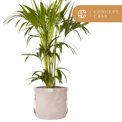 Concept Casa Extra Large Waxed Canvas Planter – 10" Stone Gray Fabric Pot Cover for Indoor/Outdoor Plants, Hanging Basket & Floor Plant Holder, Handmade Decorative Plant Container