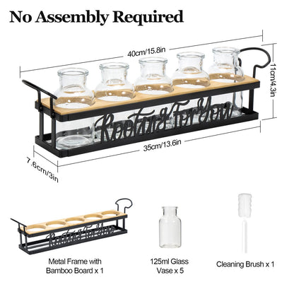 THYGIFTREE Plant Propagation Stations, for Plant Lovers Rooting for You Propagate Jars for Hydroponic Cuttings Propagating Vase