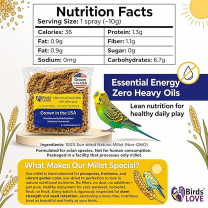 1lb Millet Tips & Tails for Birds - Parakeets, Cockatiels, Lovebirds, Finches, Budgies, Canaries, Cockatoos - Natural & Healthy Millet for Birds - Parakeet Food & Treats for All Parrots (2 Pack)