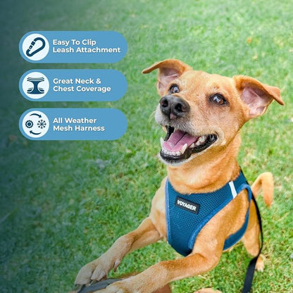 Best Pet Supplies Voyager Step-in Air All Weather Mesh Harness and Reflective Dog 5ft Leash Combo with Neoprene Handle, for Small, Medium and Large Breed Puppies - Turquoise, XX-Small