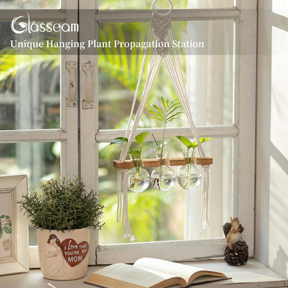 Glasseam Hanging Macrame Propagation Stations: Wall Window Glass Propagation Vases for Hydroponics Plants - Boho Decor Small Plant Terrarium Jars - Gifts for Women Mom Plants Lovers