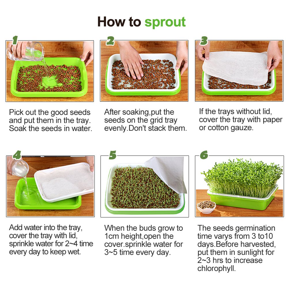 4 Layers Sprout Trays with Extra Strength Plastic Shelf Soil-Free Healthy Wheatgrass Seeds Grower & Storage Trays for Garden Home Office