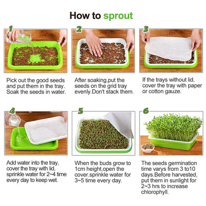 4 Layers Sprout Trays with Extra Strength Plastic Shelf Soil-Free Healthy Wheatgrass Seeds Grower & Storage Trays for Garden Home Office