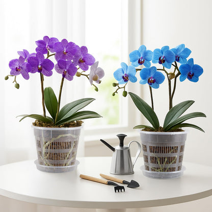 SiliFine 6 Pack Orchid Pot with Holes and Saucers 7.5 Inch Clear Plastic Planter with Holes Trays Breathable Slotted Flower Plant Pot for Indoor Outdoor Plants Nursery Root Health Repotting
