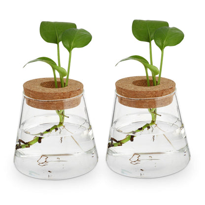 VALICLUD 2Pcs Glass Desktop Vases Hydroponics Plant Containers Terrarium for Office Home Decor Glass and Wood Material Space Saving Propagation Jars