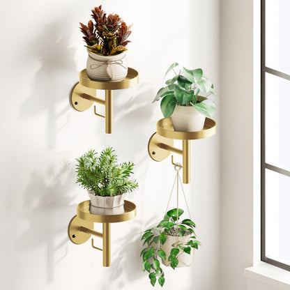 DELLAN Wall Plant Holder, 3 Pack Metal Wall Planters Stand Floating Shelves for Indoor Plants, Window Sill Plant Decor for Bedroom, Bathroom, Living Room, Home, Office, All Gold