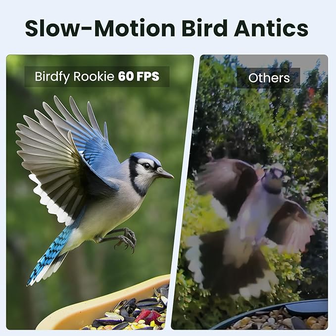 Birdfy Smart Bird Feeder with Camera for Rookie, Camera Bird Feeder Dual Night Vision, AI Recognition IP66 Waterproof for BirdLovers